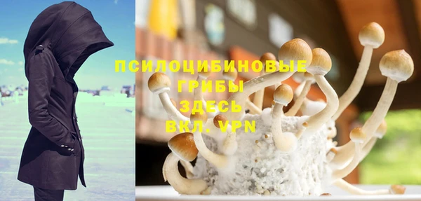 PSILOCYBIN Богданович