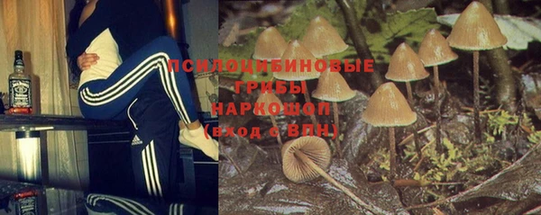 PSILOCYBIN Богданович