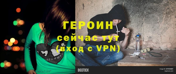 PSILOCYBIN Богданович