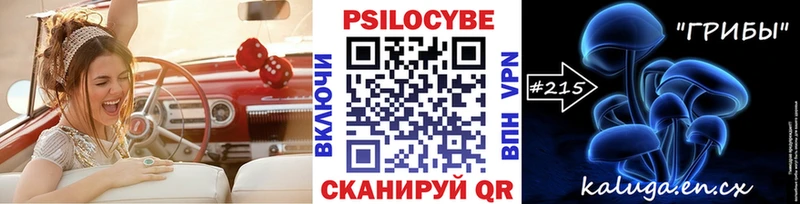 где купить наркотик  Бронницы  Псилоцибиновые грибы ЛСД 